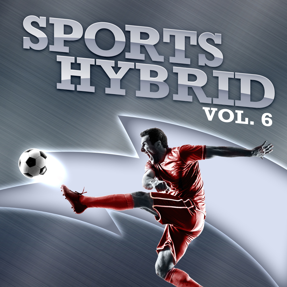 Cover for Sports Hybrid Vol. 6